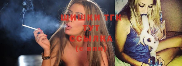 стафф Новодвинск