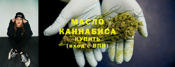 стафф Новодвинск