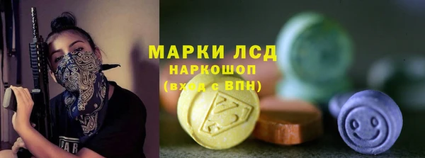 стафф Новодвинск