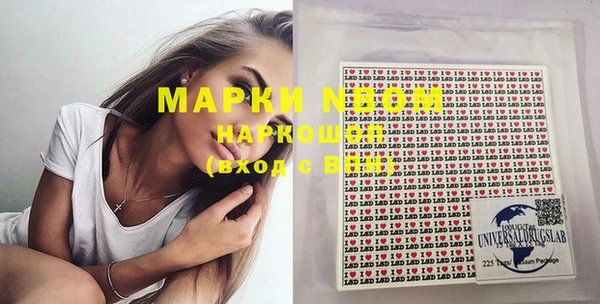 стафф Новодвинск