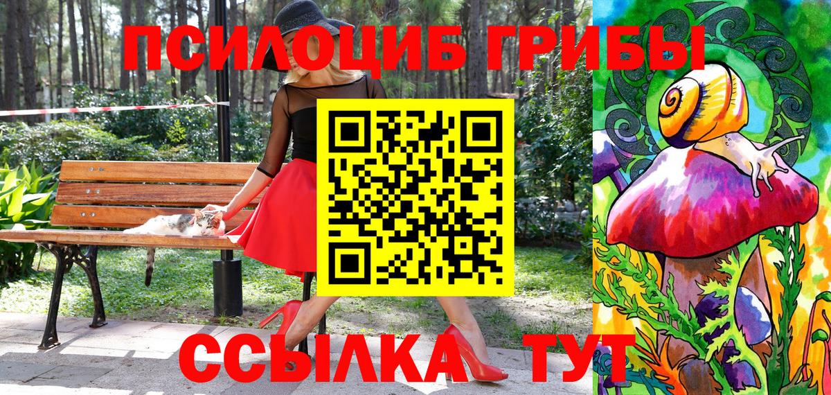 Псилоцибиновые грибы мицелий  Галлюциногенные грибы Psilocybe  Биробиджан  Вход с VPN 