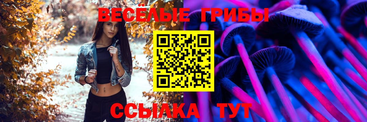 Галлюциногенные грибы мухоморы Биробиджан