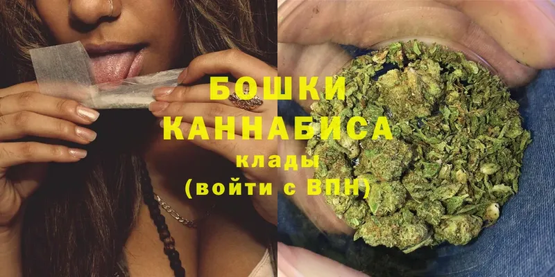 купить   Биробиджан  Бошки Шишки SATIVA & INDICA 